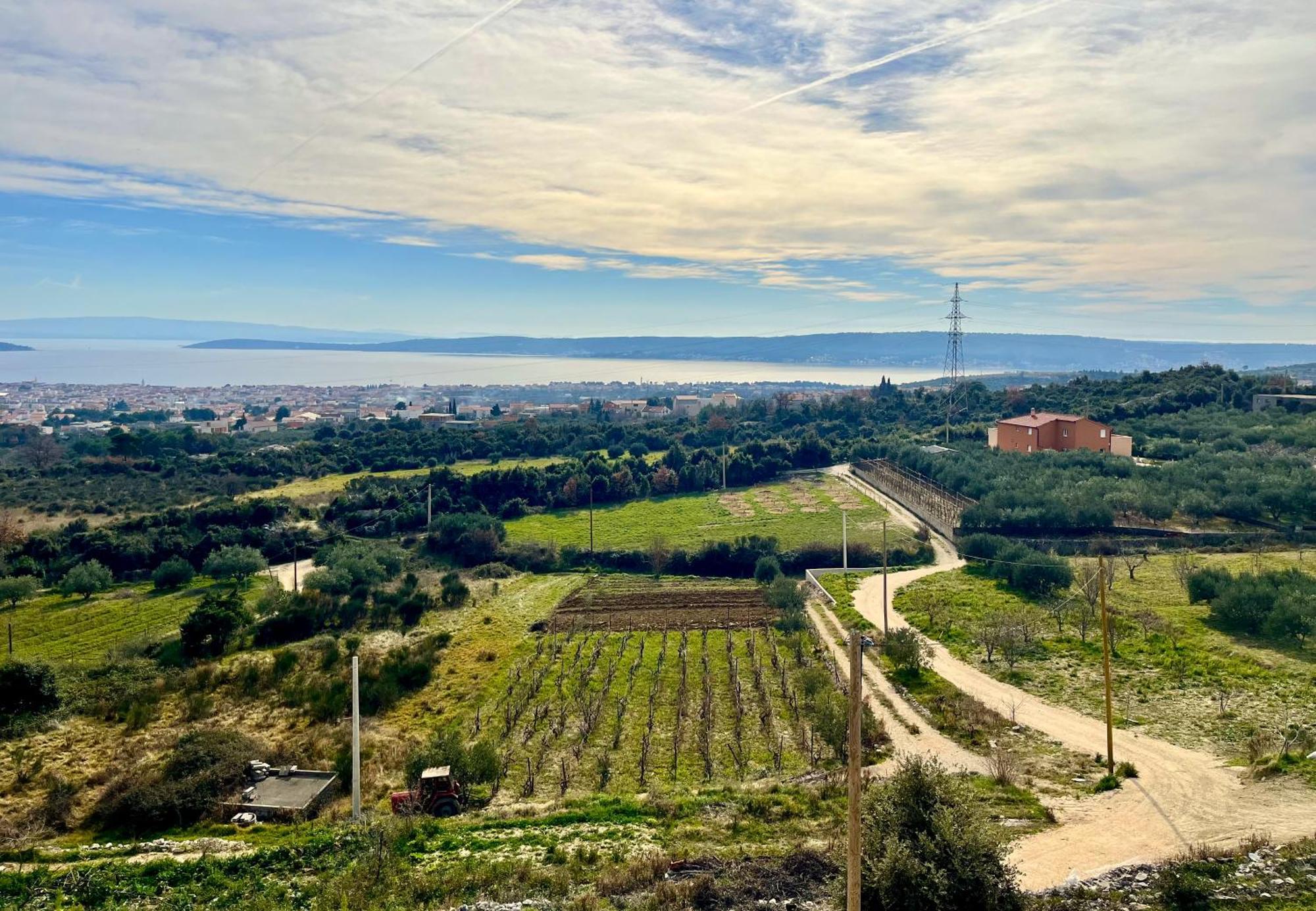 Villa Bepina, Surrounded By Sea, Olive, Vineyard Kaštel Novi Esterno foto